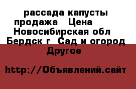 рассада капусты продажа › Цена ­ 15 - Новосибирская обл., Бердск г. Сад и огород » Другое   